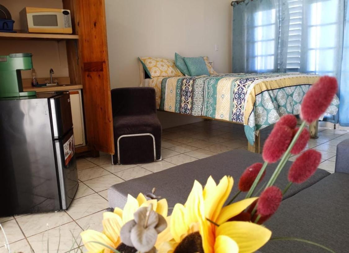 Ridgeway Guest House Бухта Монтего Экстерьер фото
